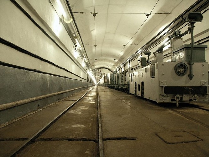 Fort de Schoenenbourg