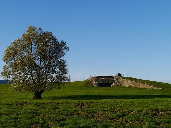 Fort de Schoenenbourg