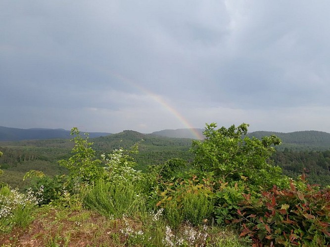 Point de vue depuis la plate-forme. La pluie n'est pas loin...