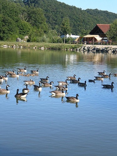 Camping de la Ferme de Viescamp