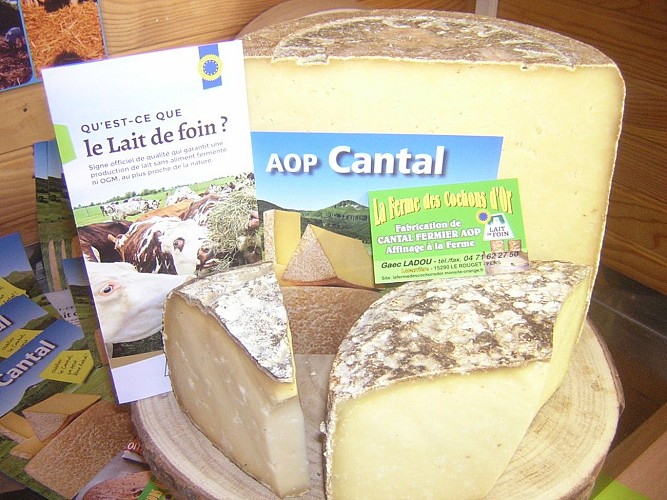 La Ferme des Cochons d'or