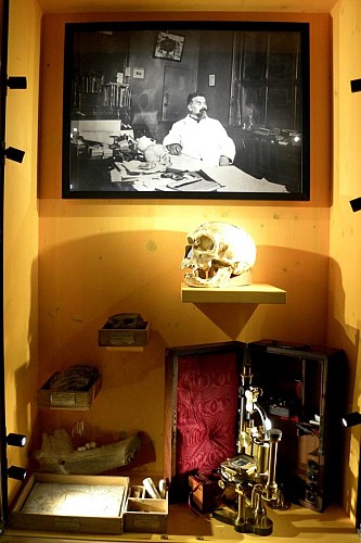 Marcellin Boule's cabinet of curiosities