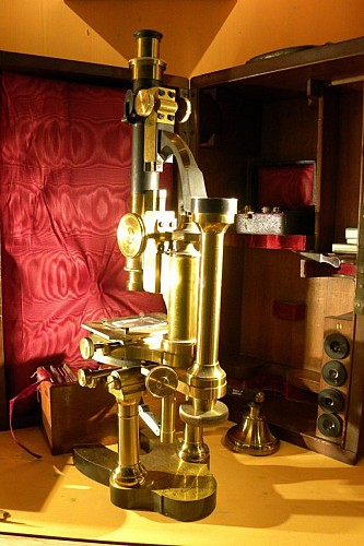Cabinet de curiosités Marcellin Boule