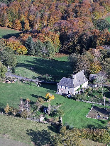 Chambre insolite du Châtaignier "À la Clairière"