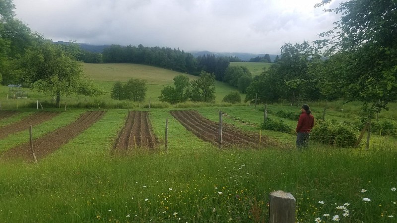Ferme de Loustaniol