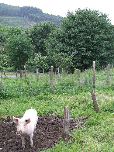 La Ferme de Pâquerette