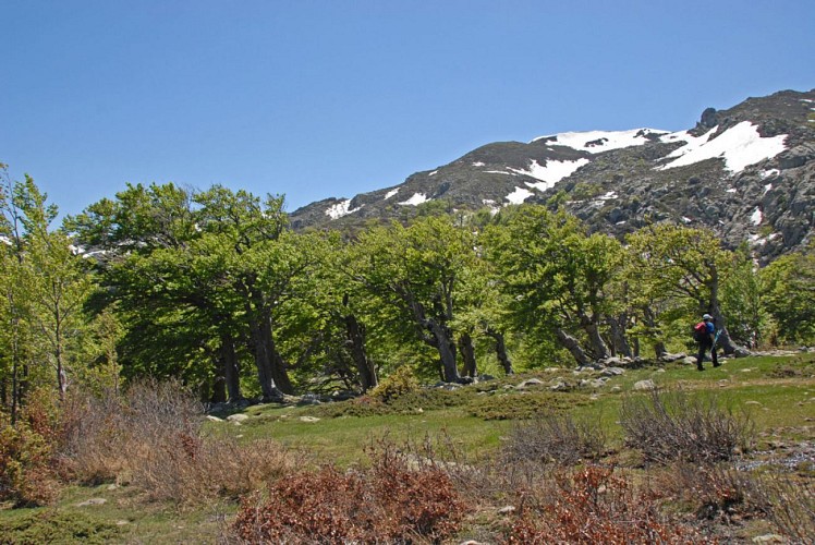 Départ variante retour sous les bergeries des Pozzi