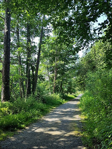 chemin de halage