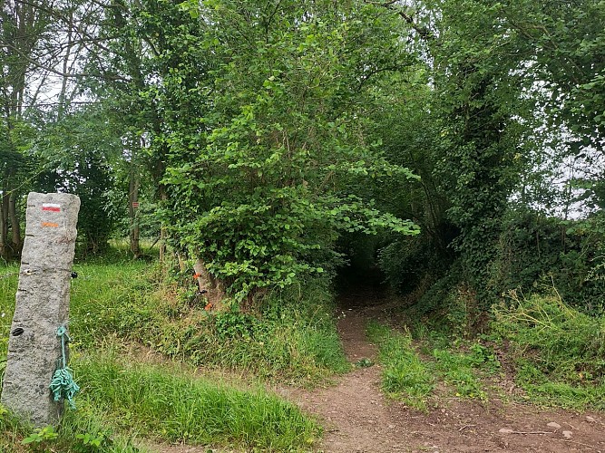 Chemin creux