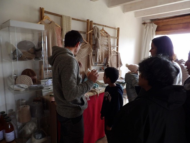 Alpagas et colibri- boutique - Gensac de Boulogne
