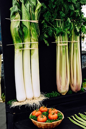 Marché Comminges Pyrénées