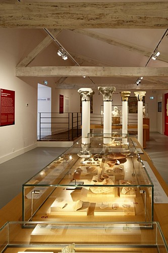 Montmaurin-musée-salle-villas2@D.Bordes-CMN