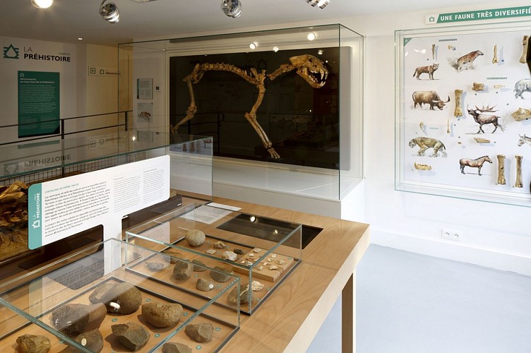 Montmaurin-musée-salle-préhistoire@D.Bordes-CMN