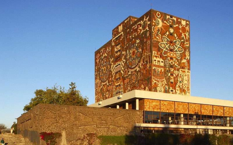 Crucero por los jardines flotantes de Xochimilco y descubrimiento de las obras de Frida Kahlo