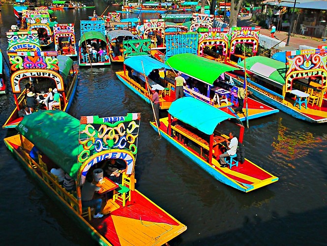 Crociera ai giardini galleggianti di Xochimilco e scoperta delle opere di Frida Kahlo