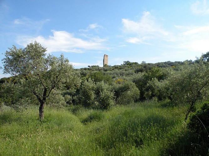 Le Mont d'Or