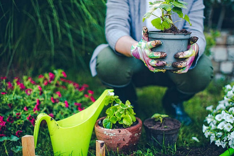Schrott und Gartenarbeit