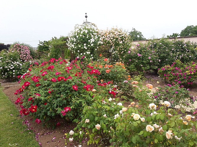 Terre de Rose Distillerie Roseraie