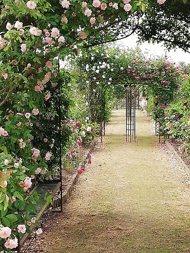 Terre de Rose Distillerie Roseraie