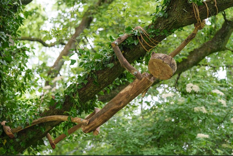 Back to trees - Sentiers d'Art