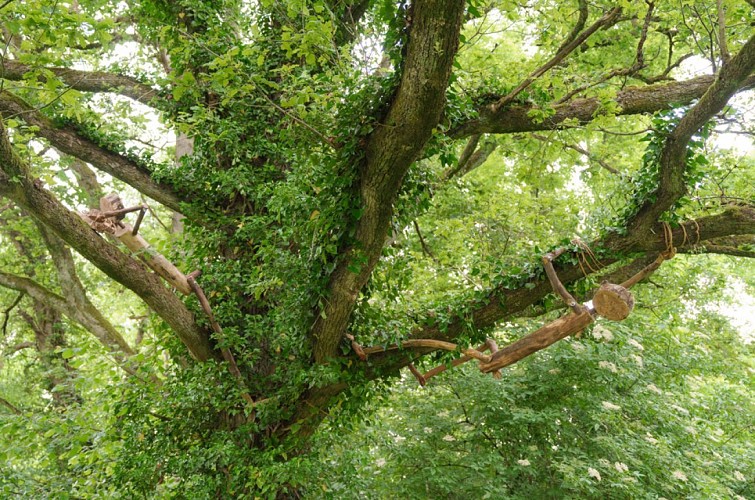 Back to trees - Sentiers d'Art