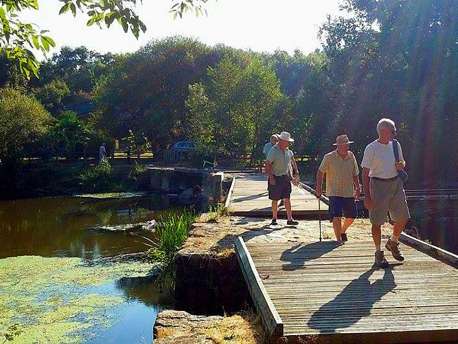 Chaussée de Chavagne