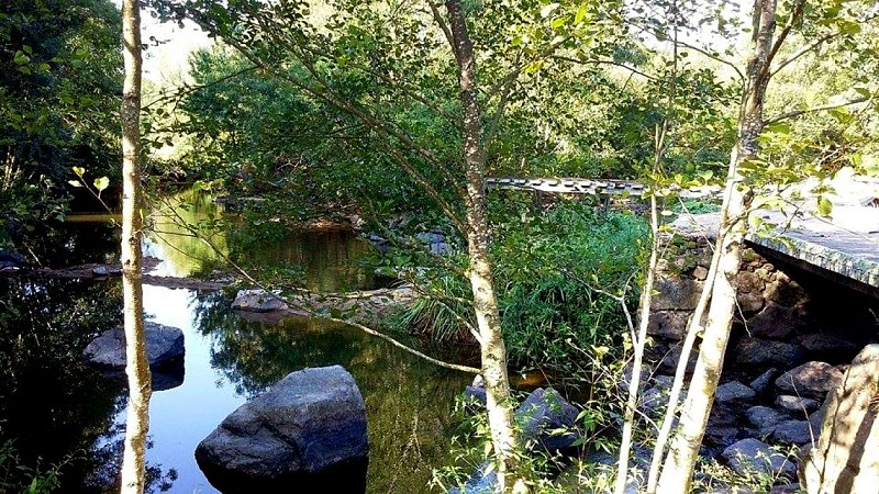 Chaussée de Chavagne