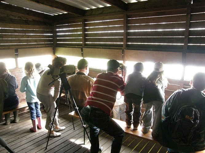Espace J Poulain observatoir