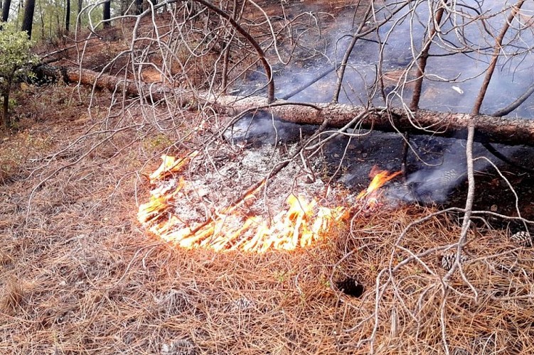Reprise de feu