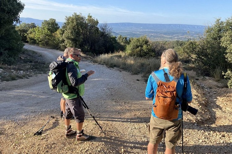 Sur les GR-GRP® du Luberon