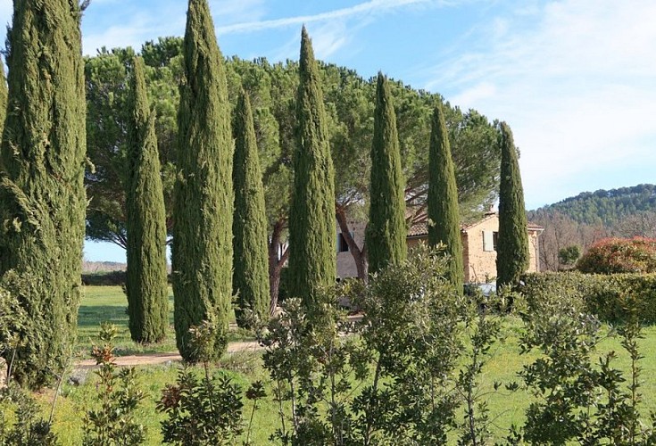 Mas et allée de cyprès