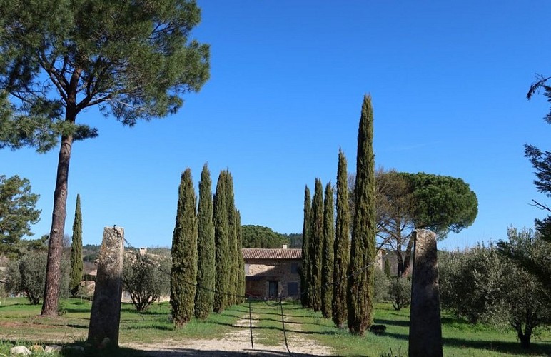 Mas et allée de cyprès