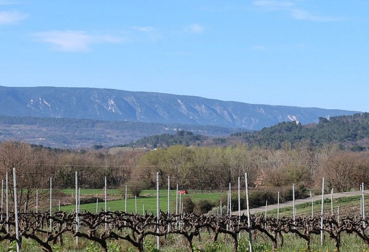 Collet Rouge, Hauts Artêmes et Petit Luberon
