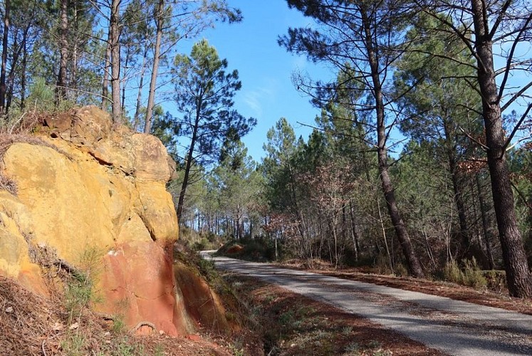 Ocres en bordure du chemin