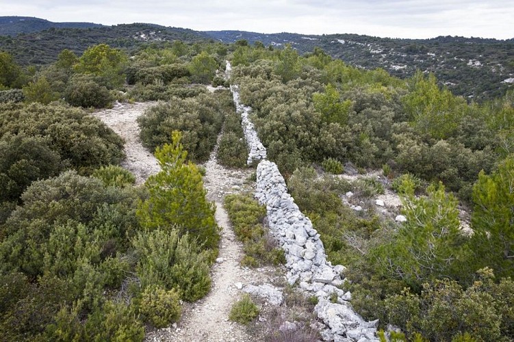 Mur de la Peste entre Lagnes et Cabrières d'Avignon