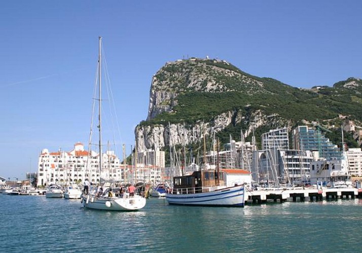 Observación de delfines en Gibraltar - Salida de Costa del Sol