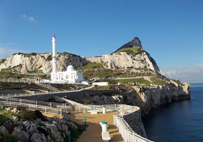 Observación de delfines en Gibraltar - Salida de Costa del Sol