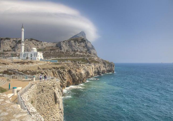 Observation des dauphins à Gibraltar - au départ de la Costa del Sol