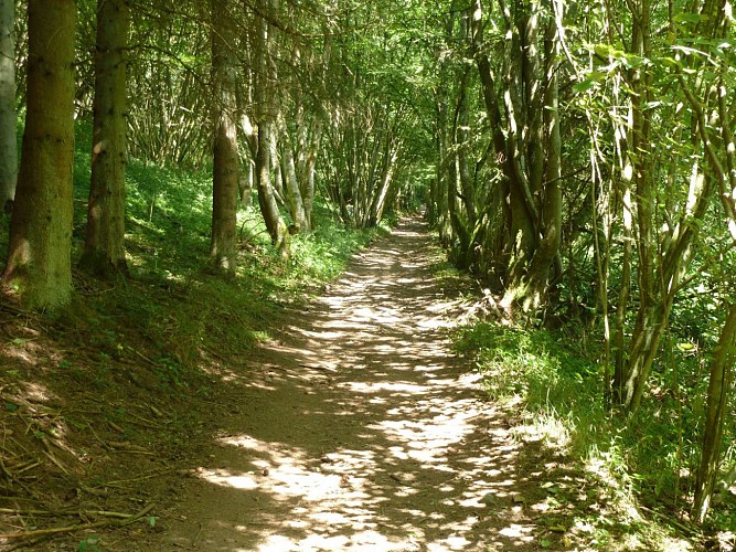 Mémont, het pad naar Borzée