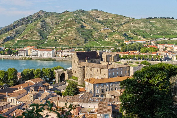 Château-Musée