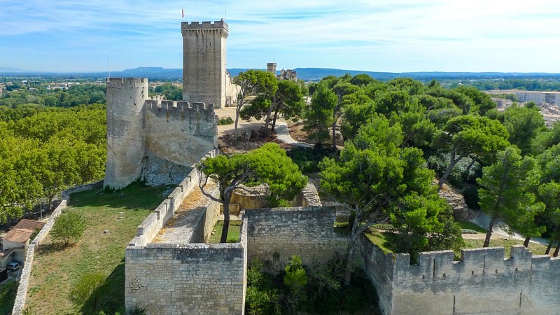 Guided Tour – Assault on the Medieval Fortress
