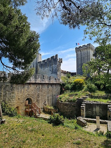 Visite guidée à l'assaut de la Forteresse Médiévale