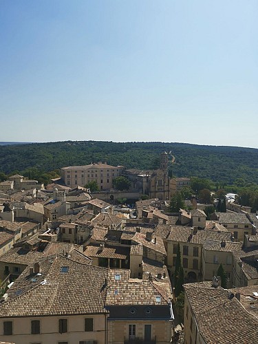 Guided visit: The historic center of Uzes - Uzès, Town of Art and History