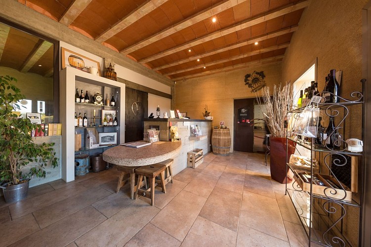 Balade vigneronne dans les tunnels antiques de Sernhac