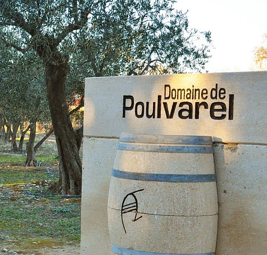 Balade vigneronne dans les tunnels antiques de Sernhac