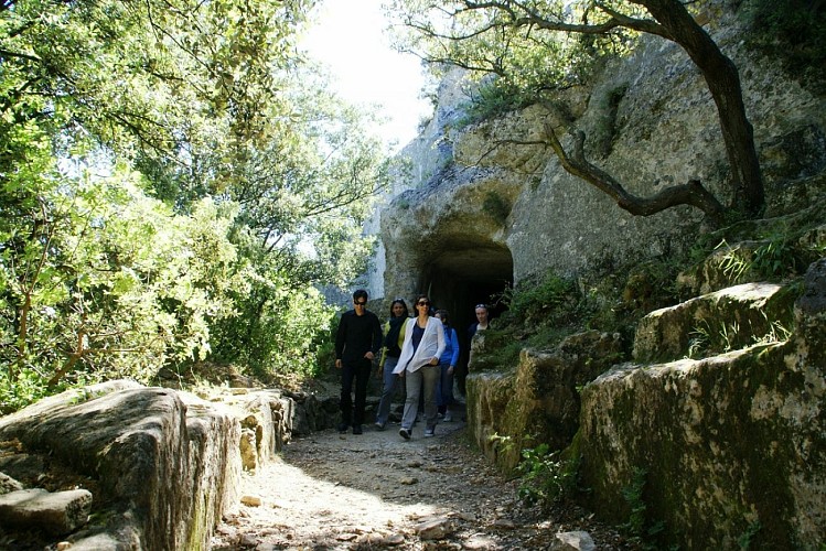 Balade vigneronne dans les tunnels antiques de Sernhac