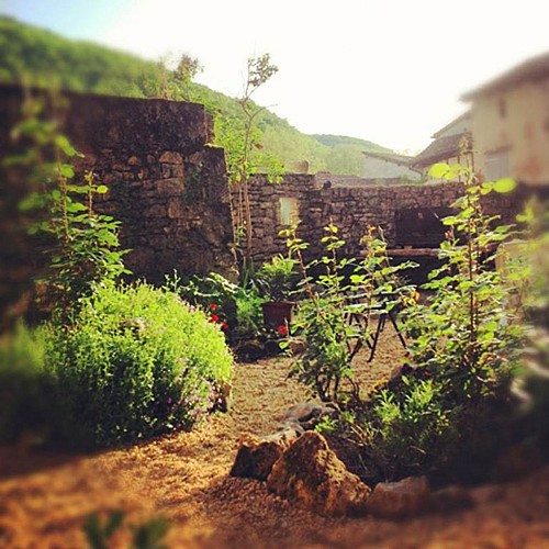 Bed and Breakfast : " Auberge Lion d'Or "