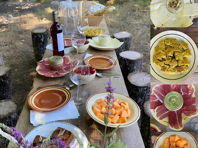 Pique-nique bucolique au bord de l’étang ou dans le parc du château Thieuley