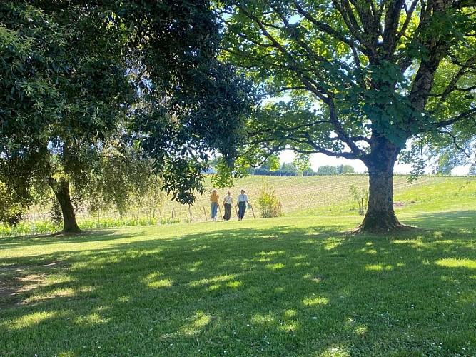 Parc du château Thieuley