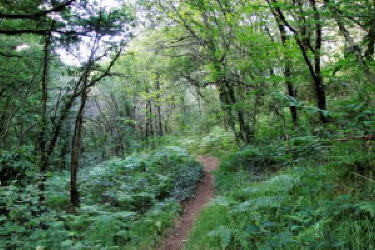 BALADE PHOTO « LE COTEAU ROSE » A TREIZE-VENTS – 3 km